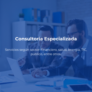 Consultoría Especializada