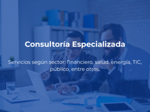 Consultoría Especializada