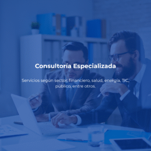 Consultoría Especializada