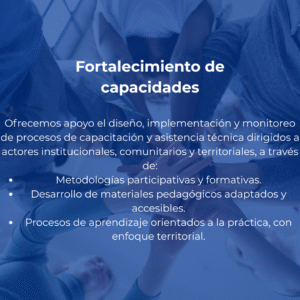 Fortalecimiento de capacidades
