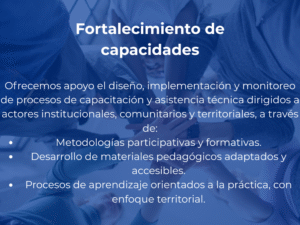 Fortalecimiento de capacidades