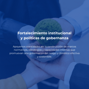 Fortalecimiento institucional y políticas de gobernanza
